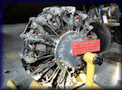 Pratt & Whitney Twin Wasp display